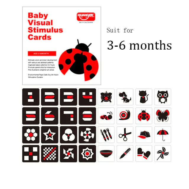 Montessori Flash Cards