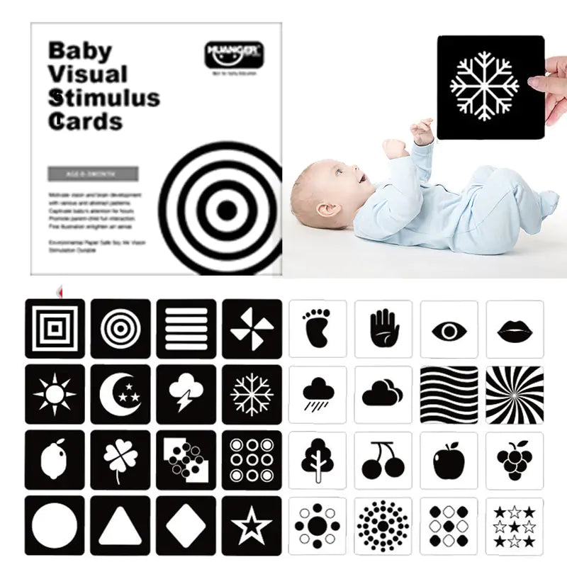 Montessori Flash Cards
